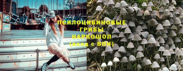 МДПВ Алексеевка