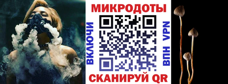 купить закладку  Асино  Галлюциногенные грибы Psilocybe 